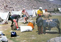 120px-0014.jpg