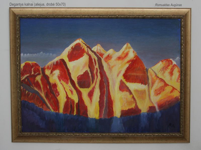 Vaizdas:20120718190637!IMG 2600-1.jpg