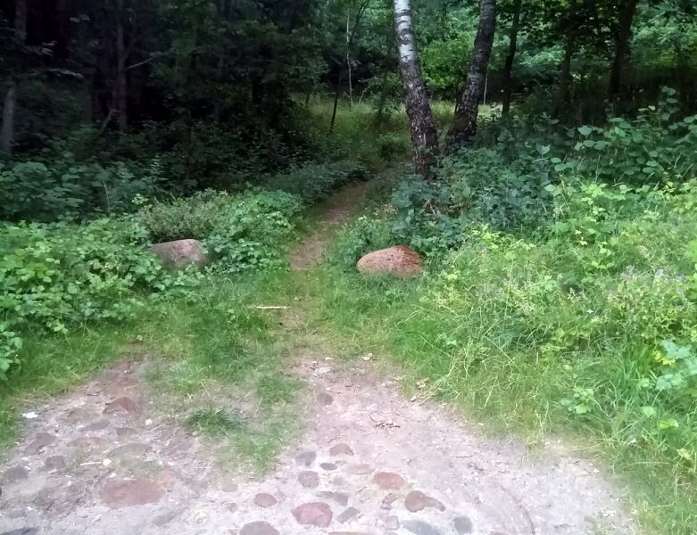 Vaizdas:Maciuičių piliakalnio kelias.jpg