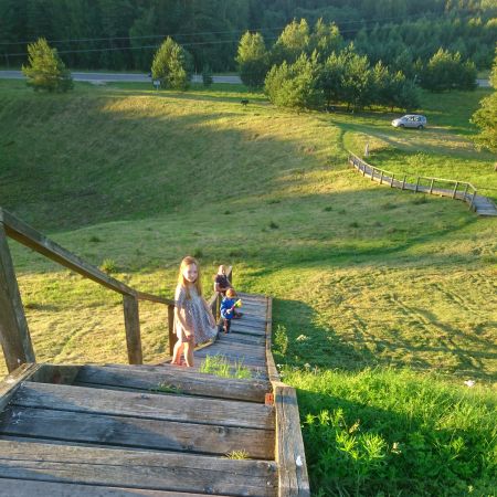 Liesėnų piliakalnio laiptai 2017-07-30.jpg