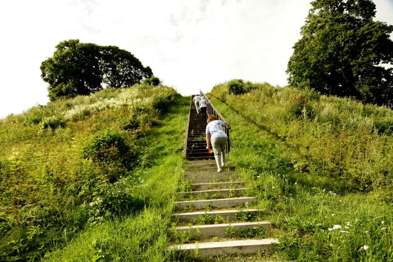 Vaizdas:20170731211927!MG 9499.JPG