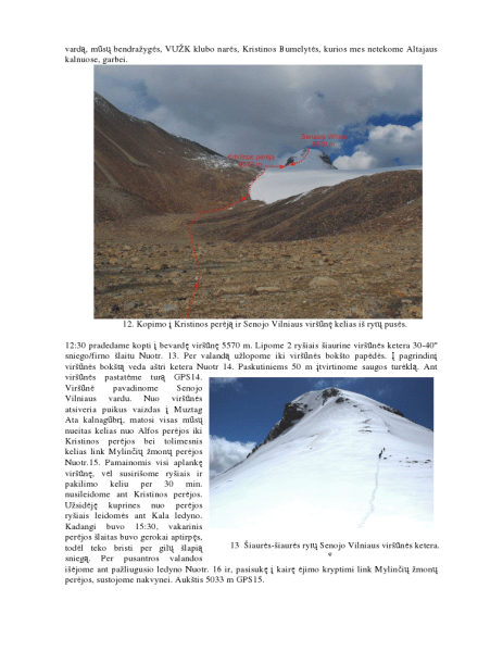 Vaizdas:Senojo Vilniaus viršūnė.png