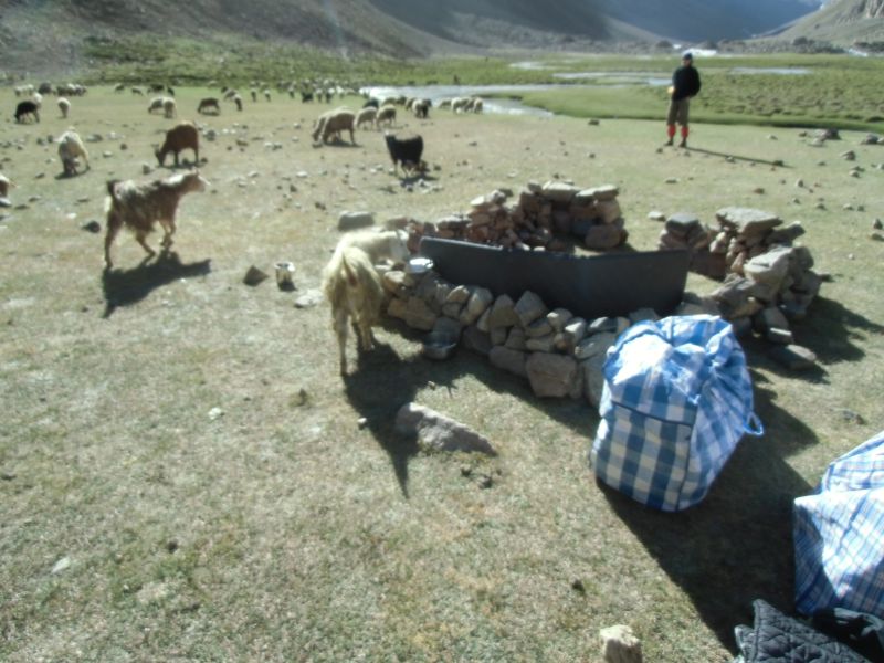 Vaizdas:CIMG1033.JPG