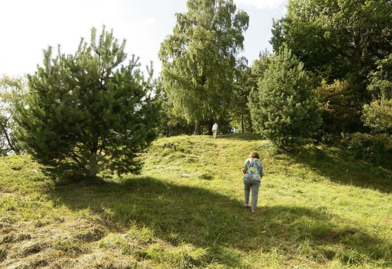 Vaizdas:20170816104505!MG 9695.JPG