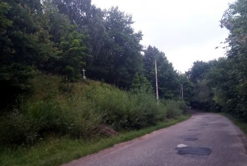 Maciuičių piliakalnis nuo kelio.jpg