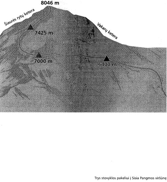 Vaizdas:20120618082920!Pangmos viršûnë.jpg