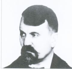 Vaizdas:240px-Šulcas.jpg